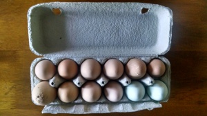 The Egg Lady sells a dozen for $3.